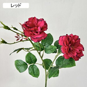   CeA  KN 1{ ͂Ȃ Q   ItBX ̓  a j JXj  EFfBO p[eB[ v[g ʐ^ A[gt