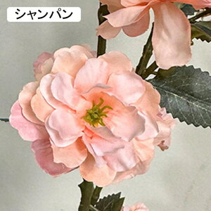   CeA  ւ̉ 1{ ͂Ȃ Q   ItBX ̓  a j JXj  EFfBO p[eB[ v[g ʐ^ A[gt