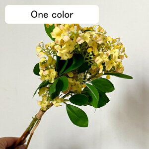   CeA  CbN 1 ͂Ȃ Q   ItBX ̓  a j JXj  EFfBO p[eB[ v[g ʐ^ A[g