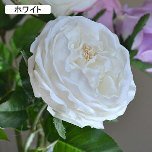   CeA  o 1{ ͂Ȃ Q   ItBX ̓  a j JXj  EFfBO p[eB[ v[g ʐ^ A[gt