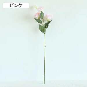   CeA  LLE 1{ ͂Ȃ Q   ItBX ̓  a j JXj  EFfBO p[eB[ v[g ʐ^ A[gt