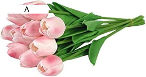 10{Zbg  `[bv  A[gt[ u[P ԑ ̓ ԃMtg ͂Ȃ ʐ^Be j v[g CeA 