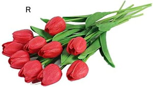 10{Zbg  `[bv  A[gt[ u[P ԑ ̓ ԃMtg ͂Ȃ ʐ^Be j v[g CeA 