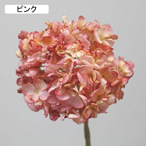   CeA  AWTC 1{ ͂Ȃ Q   ItBX ̓  a j JXj  EFfBO p[eB[ v[g ʐ^ A[gt