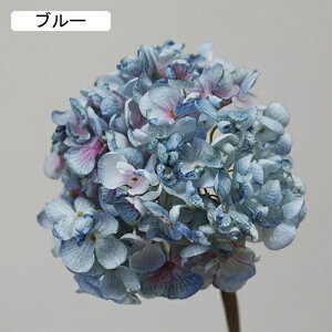   CeA  AWTC 1{ ͂Ȃ Q   ItBX ̓  a j JXj  EFfBO p[eB[ v[g ʐ^ A[gt