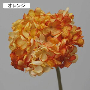   CeA  AWTC 1{ ͂Ȃ Q   ItBX ̓  a j JXj  EFfBO p[eB[ v[g ʐ^ A[gt