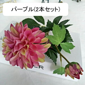  e A[gt[ ͂Ȃ ԑ CeA 2{Zbg t[ {  LC lHAϏ  tFCNt[ u[P 傫  蕨 Vz z