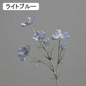   CeA  fCW[ 1{ ͂Ȃ Q   ItBX ̓  a j JXj  EFfBO p[eB[ v[g ʐ^ A[gt