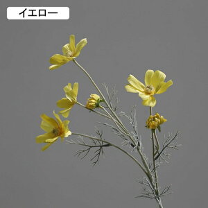   CeA  fCW[ 1{ ͂Ȃ Q   ItBX ̓  a j JXj  EFfBO p[eB[ v[g ʐ^ A[gt