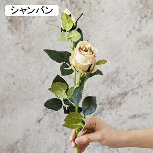   CeA  KN 1{ ͂Ȃ Q   ItBX ̓  a j JXj  EFfBO p[eB[ v[g ʐ^ A[gt