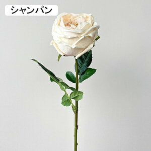   CeA  KN 1{ ͂Ȃ Q   ItBX ̓  a j JXj  EFfBO p[eB[ v[g ʐ^ A[gt