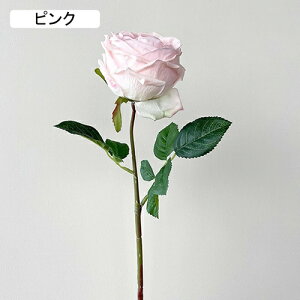   CeA  KN 1{ ͂Ȃ Q   ItBX ̓  a j JXj  EFfBO p[eB[ v[g ʐ^ A[gt