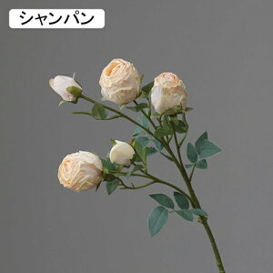   CeA  KN 1{ ͂Ȃ Q   ItBX ̓  a j JXj  EFfBO p[eB[ v[g ʐ^ A[gt