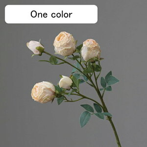   CeA  KN 1{ ͂Ȃ Q   ItBX ̓  a j JXj  EFfBO p[eB[ v[g ʐ^ A[gt