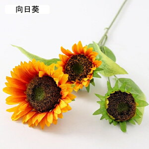   CeA   1{ ͂Ȃ Q   ItBX ̓  a j JXj  EFfBO p[eB[ v[g ʐ^ A[gt