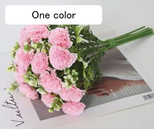  ԑ J[l[V ̓Mtg 莝ԑ VN̉ԑ ͂Ȃt[ VN p[eB[ ʐ^Be av[g ސEMtg hV̓ j  蕨 ItB