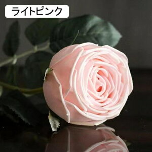   CeA  o 2{ ͂Ȃ Q   ItBX ̓  a j JXj  EFfBO p[eB[ v[g ʐ^ A[gt