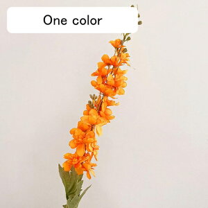   CeA  qVX 1{ ͂Ȃ Q   ItBX ̓  a j JXj  EFfBO p[eB[ v[g ʐ^ A[g