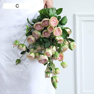  CeA F 10{ [Y o KN ͂Ȃ A[gt[ ̓v[g Mtg 킢 j   X iX  p[eB[ a ԑ 蕨̉ l