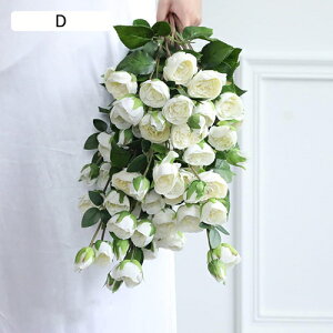  CeA F 10{ [Y o KN ͂Ȃ A[gt[ ̓v[g Mtg 킢 j   X iX  p[eB[ a ԑ 蕨̉ l