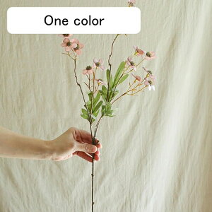   CeA  ~̉ 1{ ͂Ȃ Q   ItBX ̓  a j JXj  EFfBO p[eB[ v[g ʐ^ A[gt