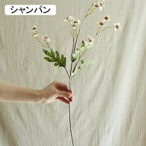   CeA  ~̉ 1{ ͂Ȃ Q   ItBX ̓  a j JXj  EFfBO p[eB[ v[g ʐ^ A[gt