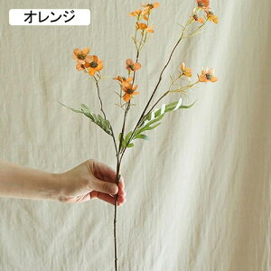   CeA  ~̉ 1{ ͂Ȃ Q   ItBX ̓  a j JXj  EFfBO p[eB[ v[g ʐ^ A[gt