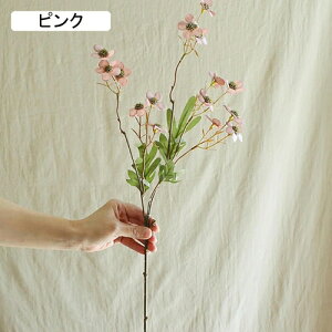   CeA  ~̉ 1{ ͂Ȃ Q   ItBX ̓  a j JXj  EFfBO p[eB[ v[g ʐ^ A[gt