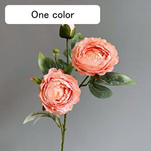   CeA  O 1{ ͂Ȃ Q   ItBX ̓  a j JXj  EFfBO p[eB[ v[g ʐ^ A[gt