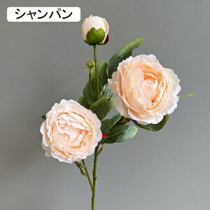   CeA  O 1{ ͂Ȃ Q   ItBX ̓  a j JXj  EFfBO p[eB[ v[g ʐ^ A[gt