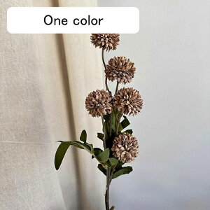   CeA  _A 1{ ͂Ȃ Q   ItBX ̓  a j JXj  EFfBO p[eB[ v[g ʐ^ A[gt