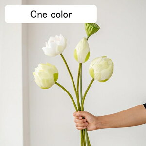  @̉ tFCNt[ VNt[ sv ͂Ȃ A[gt[ t[AW A  rO  d e[u DIY CeA  ԑ u[P B