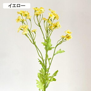   CeA  fCW[ 1{ ͂Ȃ Q   ItBX ̓  a j JXj  EFfBO p[eB[ v[g ʐ^ A[gt