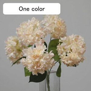   CeA  AWTC 1 ͂Ȃ Q   ItBX ̓  a j JXj  EFfBO p[eB[ v[g ʐ^ A[gt