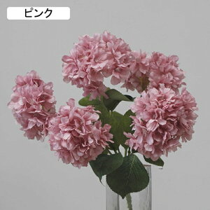   CeA  AWTC 1 ͂Ȃ Q   ItBX ̓  a j JXj  EFfBO p[eB[ v[g ʐ^ A[gt