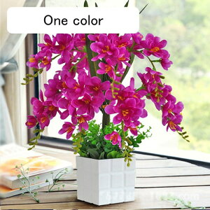  Ӓ Ԃ̉ԑ ԕrt lHϗtA LC tFCNt[ u[P ͂Ȃ CeA ƒ ItBX ʐ^Be  u JXj ̓Mtg Vj v[