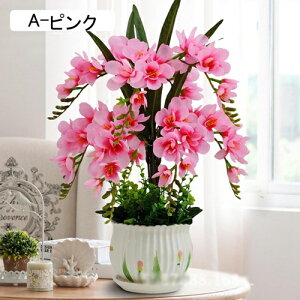  Ӓ Ԃ̉ԑ ԕrt lHϗtA LC tFCNt[ u[P ͂Ȃ CeA ƒ ItBX ʐ^Be  u JXj ̓Mtg Vj v[