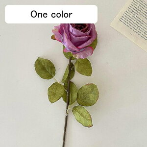   CeA  KN 1{ ͂Ȃ Q   ItBX ̓  a j JXj  EFfBO p[eB[ v[g ʐ^ A[gt