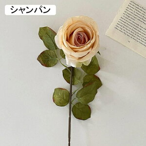   CeA  KN 1{ ͂Ȃ Q   ItBX ̓  a j JXj  EFfBO p[eB[ v[g ʐ^ A[gt