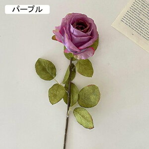   CeA  KN 1{ ͂Ȃ Q   ItBX ̓  a j JXj  EFfBO p[eB[ v[g ʐ^ A[gt