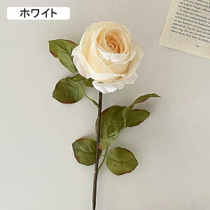   CeA  KN 1{ ͂Ȃ Q   ItBX ̓  a j JXj  EFfBO p[eB[ v[g ʐ^ A[gt