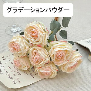   ԑ CeA  o ͂Ȃ Q   ItBX ̓  a j JXj  EFfBO p[eB[ v[g ʐ^ A[gt