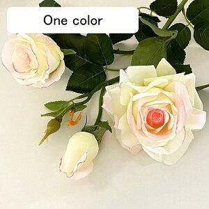   CeA  KN 1{ ͂Ȃ Q   ItBX ̓  a j JXj  EFfBO p[eB[ v[g ʐ^ A[gt