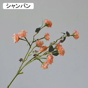   CeA  o 1{ ͂Ȃ Q   ItBX ̓  a j JXj  EFfBO p[eB[ v[g ʐ^ A[gt