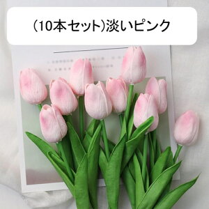 10{Zbg  `[bv tFCNt[ ԑ u[P ͂Ȃ Y ins A[gt[ z̉ CeA LO ̓ v[g j rO sNjbN  