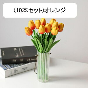 10{Zbg  `[bv tFCNt[ ԑ u[P ͂Ȃ Y ins A[gt[ z̉ CeA LO ̓ v[g j rO sNjbN  