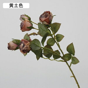   CeA  KN 1{ ͂Ȃ Q   ItBX ̓  a j JXj  EFfBO p[eB[ v[g ʐ^ A[gt