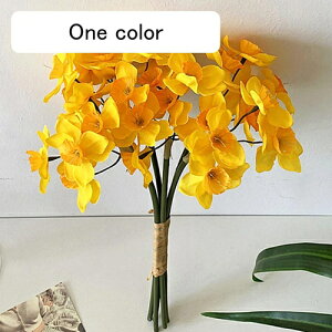   CeA  ̉ 1 ͂Ȃ Q   ItBX ̓  a j JXj  EFfBO p[eB[ v[g ʐ^ A[gt