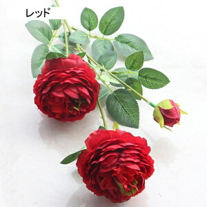   CeA  O 1{ ͂Ȃ Q   ItBX ̓  a j JXj  EFfBO p[eB[ v[g ʐ^ A[gt