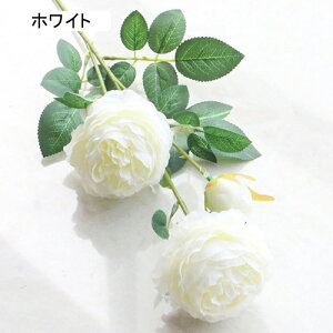   CeA  O 1{ ͂Ȃ Q   ItBX ̓  a j JXj  EFfBO p[eB[ v[g ʐ^ A[gt